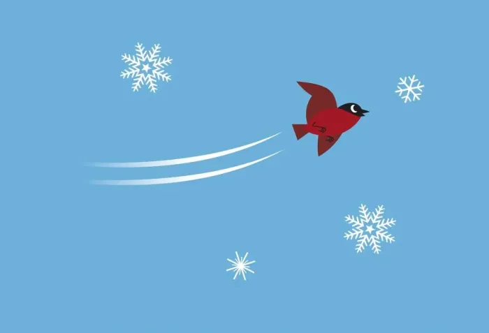 Framed Print : Bird flying between snowflakes Framed Print : Bird flying between snowflakes