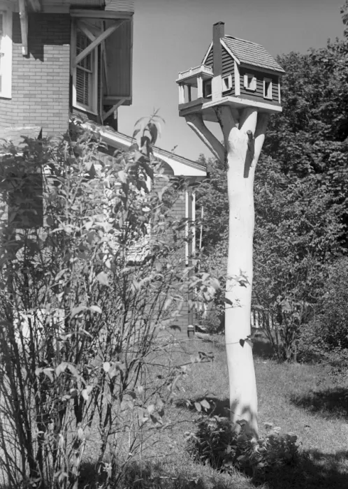 Framed Print : Bird house in garden Framed Print : Bird house in garden