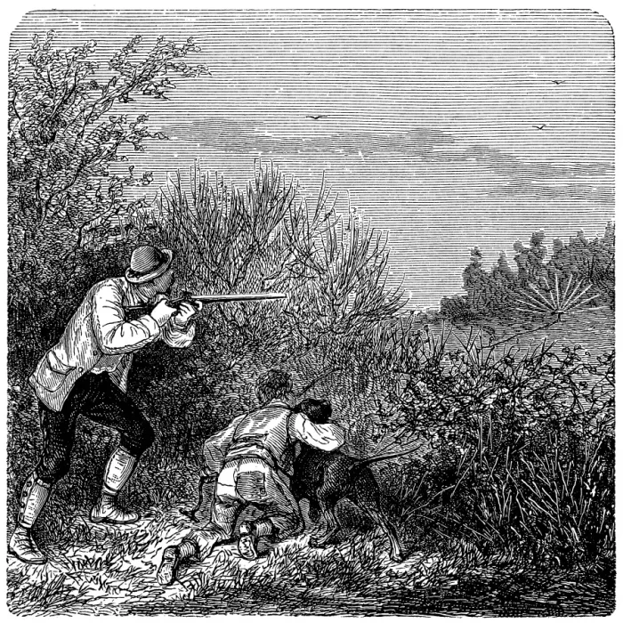 Framed Print : Bird hunting
