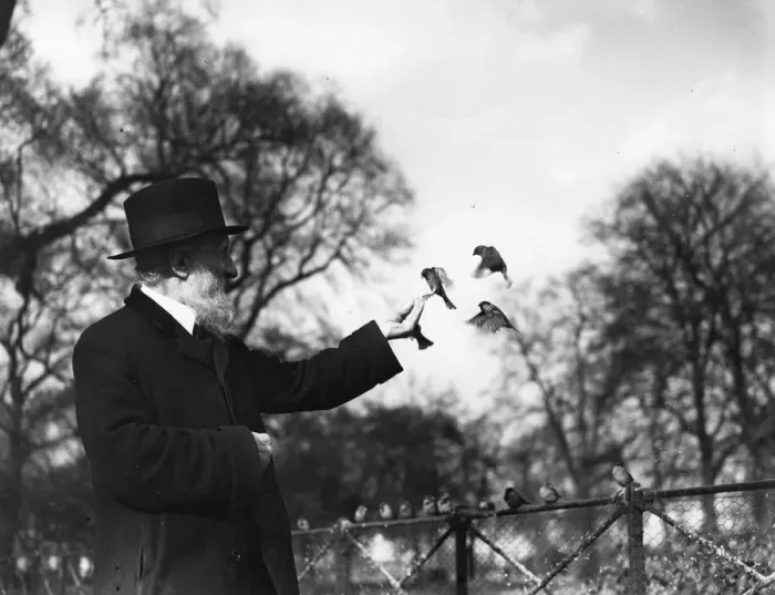 Framed Print : Bird Man With Birds