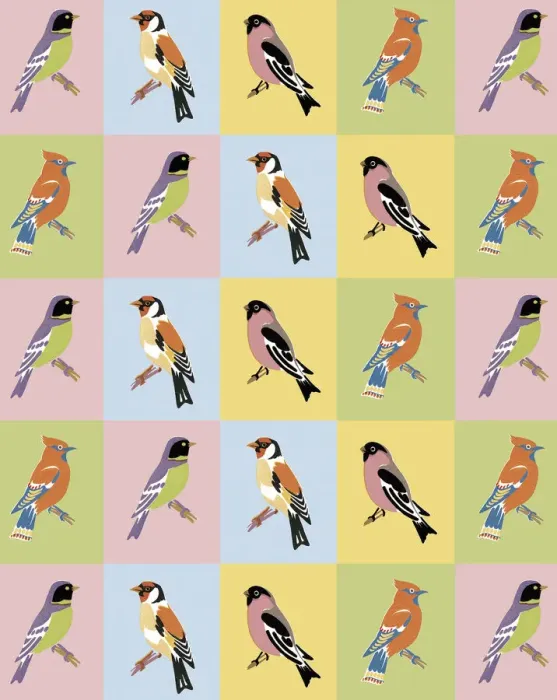 Framed Print : Bird Pattern Framed Print : Bird Pattern