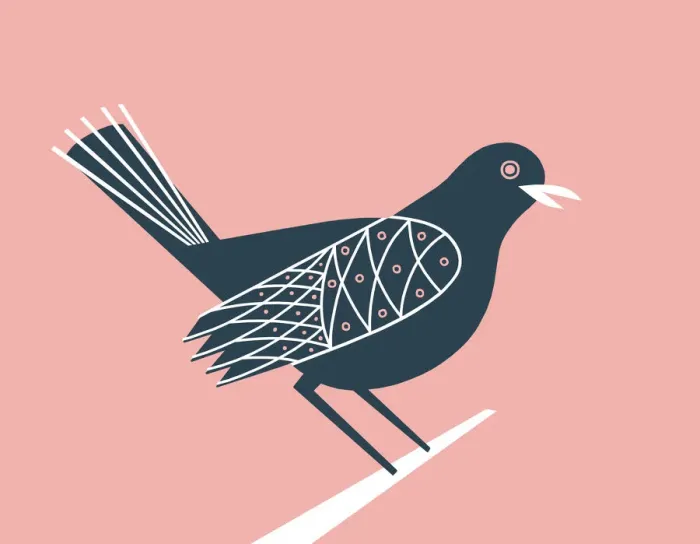 Framed Print : Bird on Pink Background Framed Print : Bird on Pink Background
