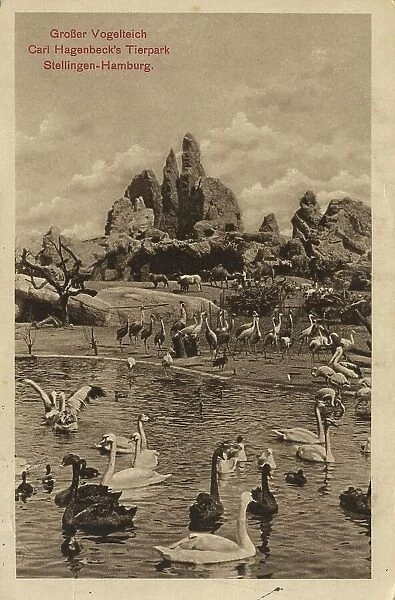 Bird pond in Tierpark Hagenbeck, Hamburg, Germany, postcard with text, view around ca 1910, historical, digital reproduction of a historical postcard, public domain, from that time, exact date unknown