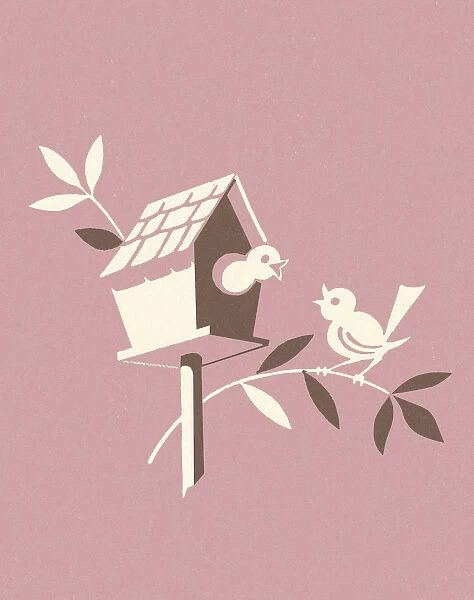 Birdhouse on Pink Background