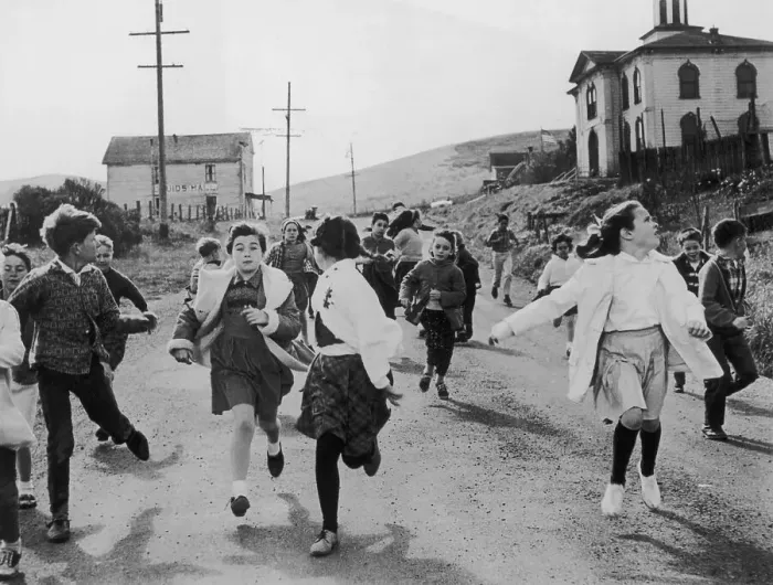 Framed Print : The Birds. A group of schoolchildren flee the avian threat in a scene