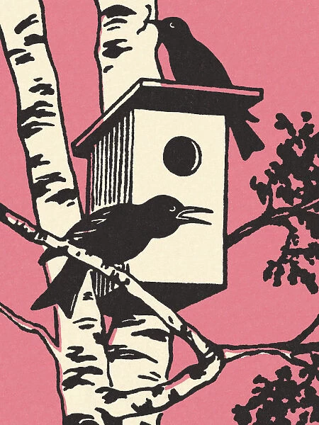 Two Birds and a Birdhouse