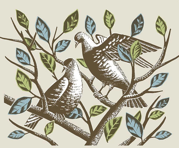 Birds in Branches