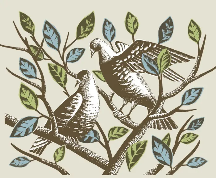 Framed Print : Birds in Branches Framed Print : Birds in Branches