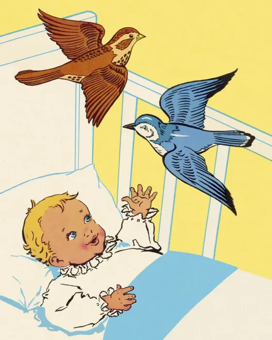 Framed Print : Birds Flying Over Babys Crib Framed Print : Birds Flying Over Babys Crib