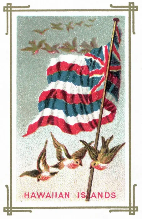 Framed Print : Birds Flying Beneath Hawaiian Flag Framed Print : Birds Flying Beneath Hawaiian Flag