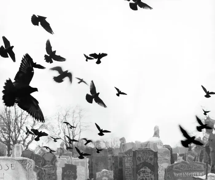 Framed Print : Birds Flying Over Cemetery in the 1960's Framed Print : Birds Flying Over Cemetery in the 1960's