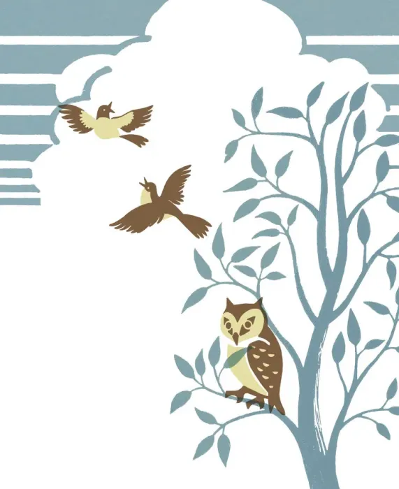 Framed Print : Birds and Owl in Tree Framed Print : Birds and Owl in Tree