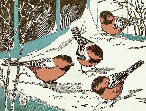 Four Birds in Winter