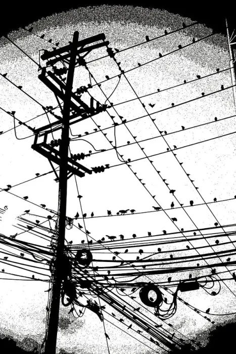 Framed Print : Birds on Wire, 1032990030 Framed Print : Birds on Wire, 1032990030
