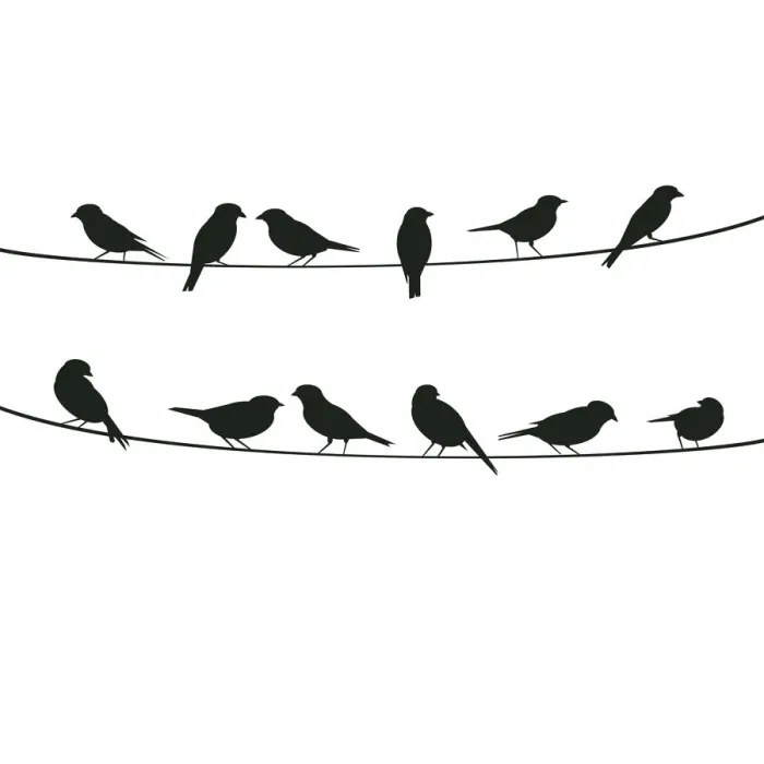 Framed Print : Birds on Wire, 454163943 Framed Print : Birds on Wire, 454163943