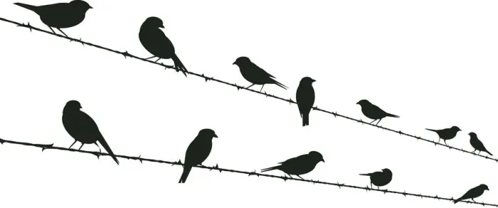 Framed Print : Birds on Wire, 457819851 Framed Print : Birds on Wire, 457819851