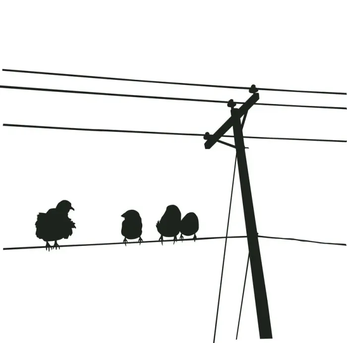Framed Print : Birds on Wire, 481567472 Framed Print : Birds on Wire, 481567472