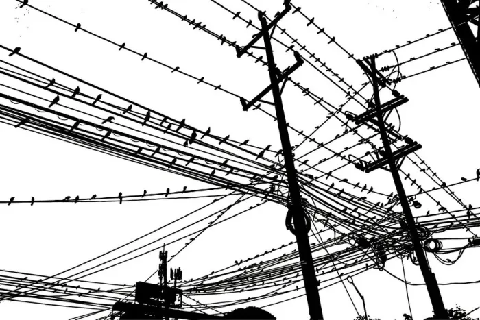 Framed Print : Birds on Wire, 507639450 Framed Print : Birds on Wire, 507639450