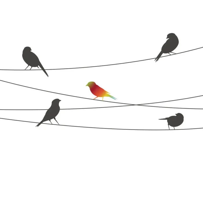 Framed Print : Birds on Wire, 527820805