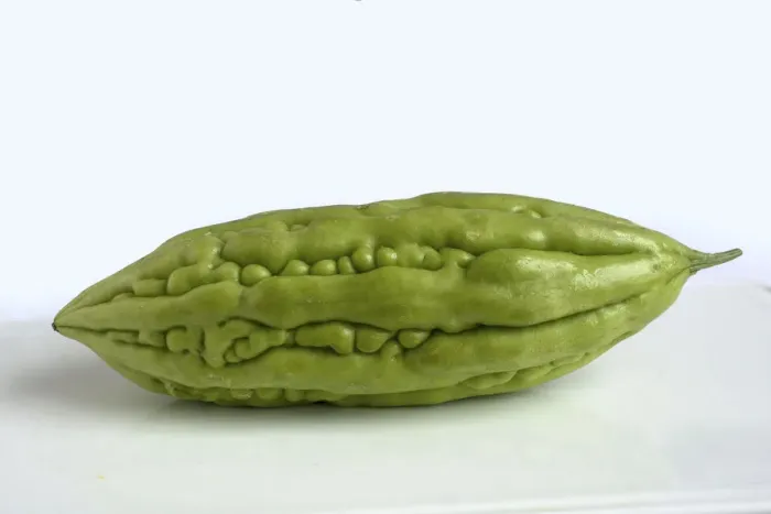 Framed Print : Bitter cucumber Framed Print : Bitter cucumber