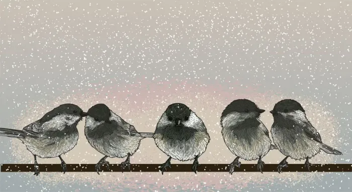 Framed Print : Black-capped Chickadees on a Wire on a Snowy Day Framed Print : Black-capped Chickadees on a Wire on a Snowy Day