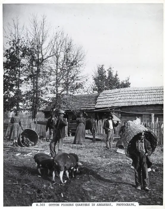 Framed Print : Black Cotton Pickers Quarters Framed Print : Black Cotton Pickers Quarters
