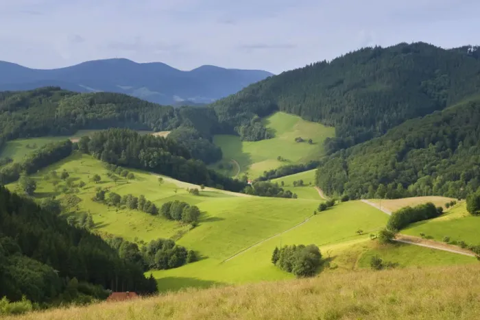 Framed Print : Black Forest landscape near Gutach, Black Forest, Baden-Wuerttemberg, Germany, Europe Framed Print : Black Forest landscape near Gutach, Black Forest, Baden-Wuerttemberg, Germany, Europe