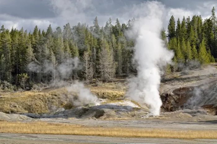 Framed Print : Black Growler Steam Vent, Porcelain Basin, Norris Geyser Basin, Yellowstone National Park, Wyoming, USA Framed Print : Black Growler Steam Vent, Porcelain Basin, Norris Geyser Basin, Yellowstone National Park, Wyoming, USA