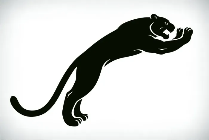 Framed Print : Black Panther Framed Print : Black Panther