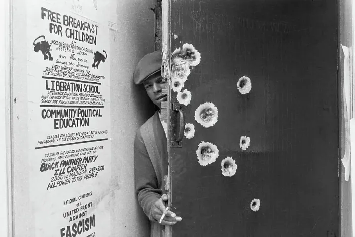 Framed Print : Black Panther Standing Behind Bullet-Riddled Door Framed Print : Black Panther Standing Behind Bullet-Riddled Door