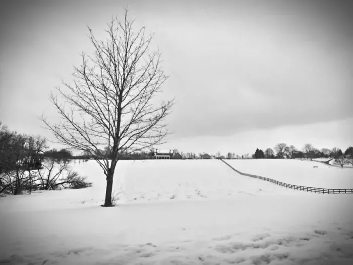 Framed Print : Black and White Framed Print : Black and White