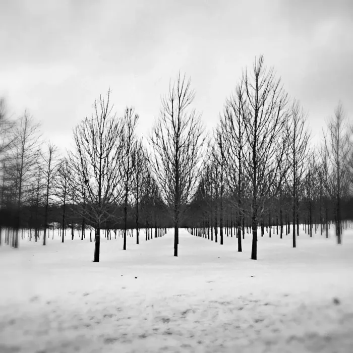 Framed Print : Black and White