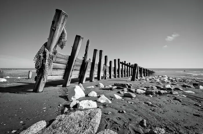 Framed Print : Black and white beach with rocks and wood Framed Print : Black and white beach with rocks and wood