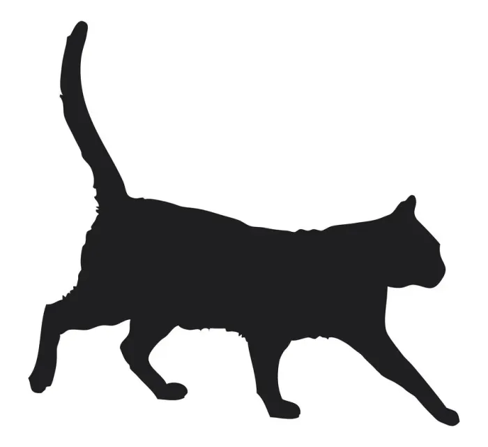 Framed Print : Black and white digital illustration of black domestic cat (Felis catus) Framed Print : Black and white digital illustration of black domestic cat (Felis catus)