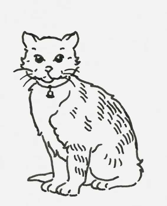 Framed Print : Black and white digital illustration of cat wearing collar with bell Framed Print : Black and white digital illustration of cat wearing collar with bell