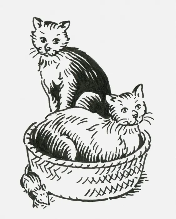 Framed Print : Black and white digital illustration of two cats oblivious to mouse neat pet bed Framed Print : Black and white digital illustration of two cats oblivious to mouse neat pet bed