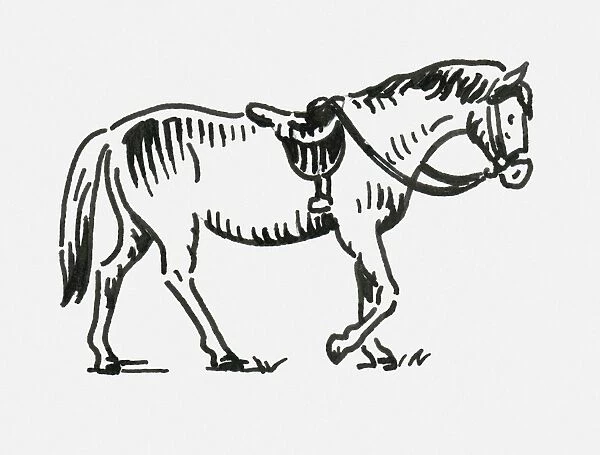 Black and white digital illustration of horse wearing bridle and saddle