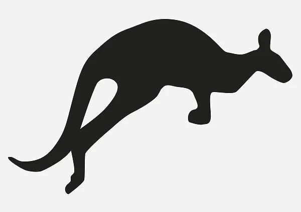 Black and white digital illustration of jumping kangeroo in silhouette