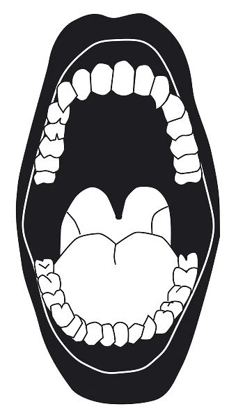 Black and white digital illustration of open mouth showing white teeth, tongue, and back of throat