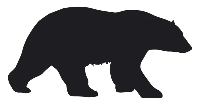 Framed Print : Black and white digital illustration of Polar Bear (Ursus maritimus) Framed Print : Black and white digital illustration of Polar Bear (Ursus maritimus)