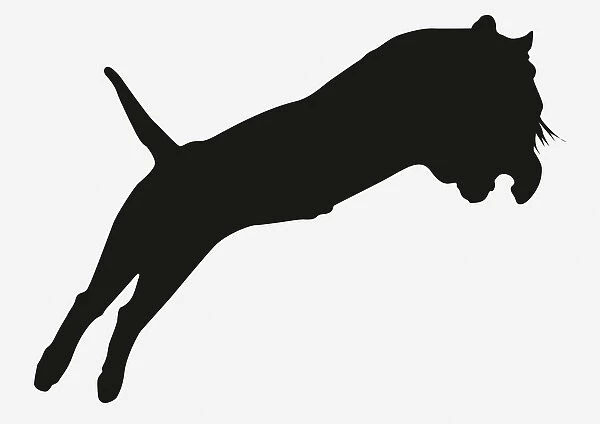 Black and white digital illustration of pouncing tiger silhouette