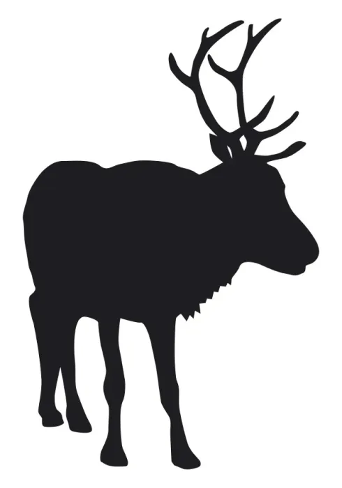 Framed Print : Black and white digital illustration of Reindeer (Rangifer tarandus) Framed Print : Black and white digital illustration of Reindeer (Rangifer tarandus)