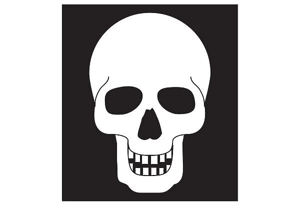 Black and white digital illustration representing human skull