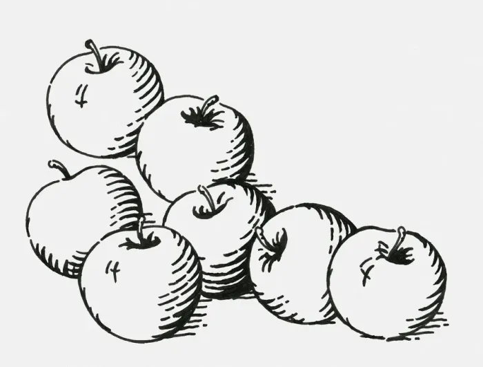 Framed Print : Black and white digital illustration of ripe apples Framed Print : Black and white digital illustration of ripe apples