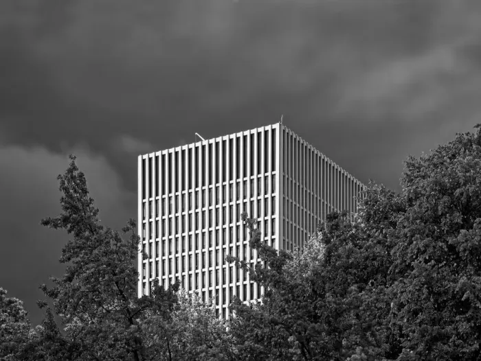 Framed Print : Black And White Grid Highlights Framed Print : Black And White Grid Highlights