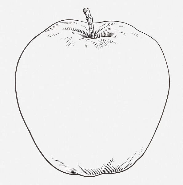 Black and white illustration of an apple