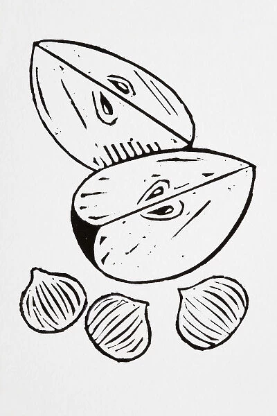 Black and white illustration of apple slices and nuts