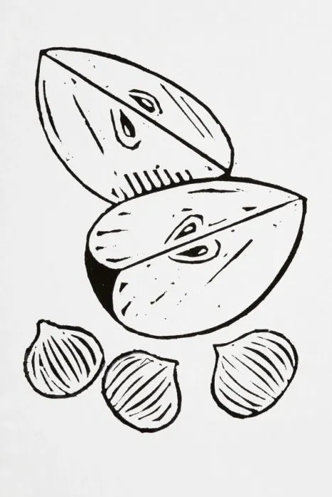 Framed Print : Black and white illustration of apple slices and nuts Framed Print : Black and white illustration of apple slices and nuts