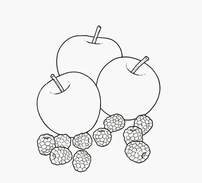 Framed Print : Black and white illustration of apples and blackberries Framed Print : Black and white illustration of apples and blackberries