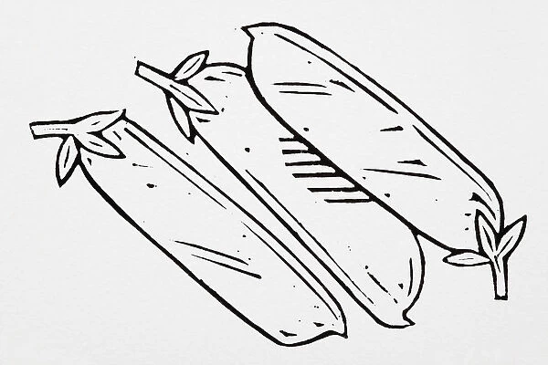 Black and white illustration of three aubergines